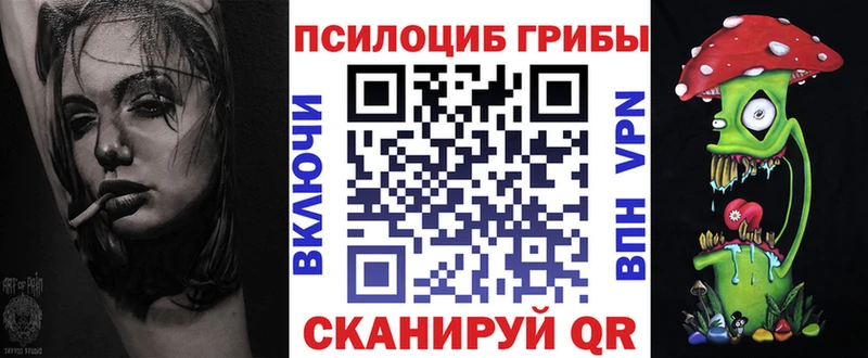 наркотики Строитель Галлюциногенные грибы Magic Shrooms