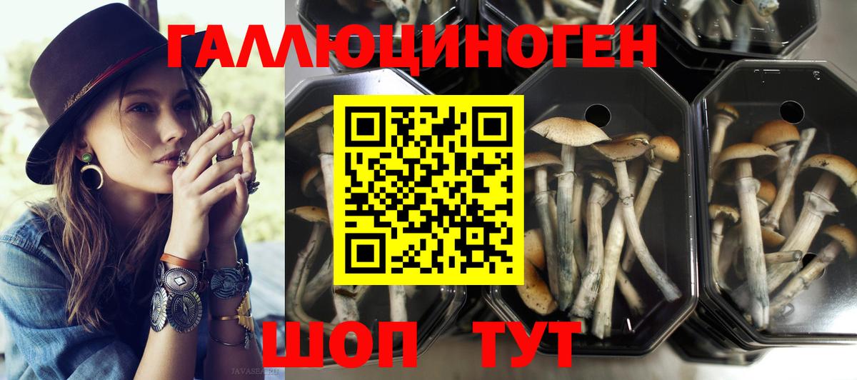 Строитель  Псилоцибиновые грибы GOLDEN TEACHER  Вход с VPN 