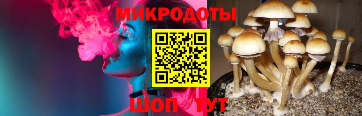 Галлюциногенные грибы ЛСД Строитель