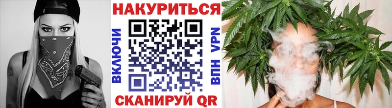 Бошки Шишки гибрид  Строитель 